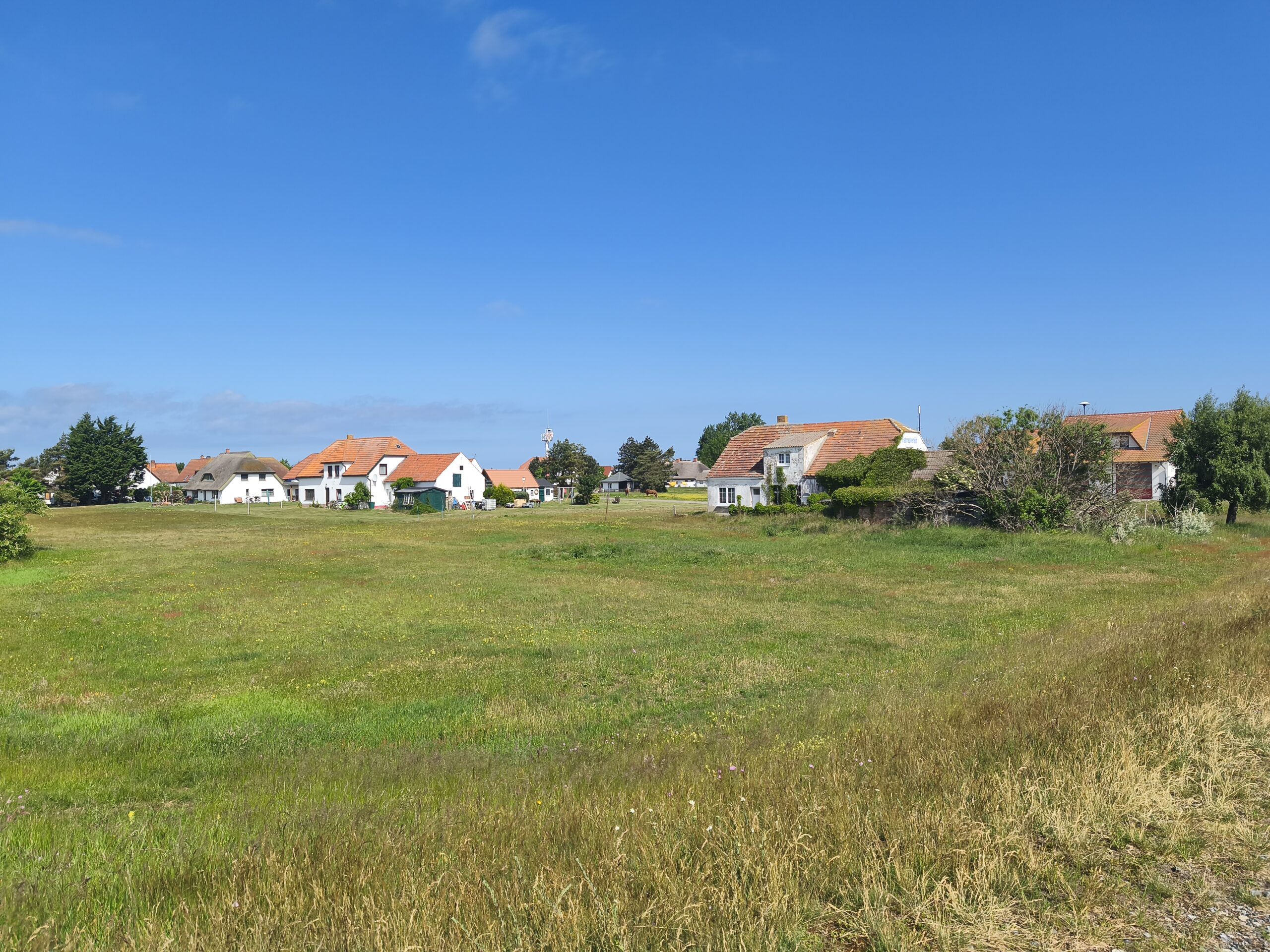 Literarischer Neuendorf Spaziergang mit Ute Fritsch - Gedichte &  Geschichten