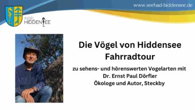 Die Vögel von Hiddensee - Fahrradtour zu sehens- und hörenswerten Vogelarten