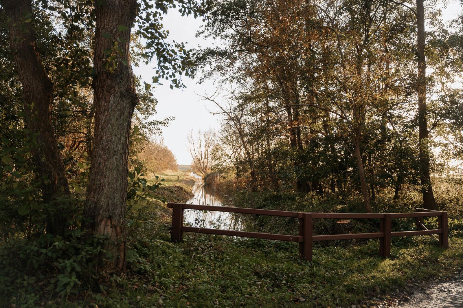 wandern