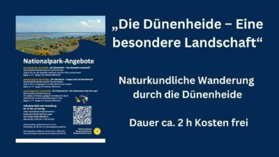 „Die Dünenheide – Eine besondere Landschaft“ Naturkundliche Wanderung durch die Dünenheide