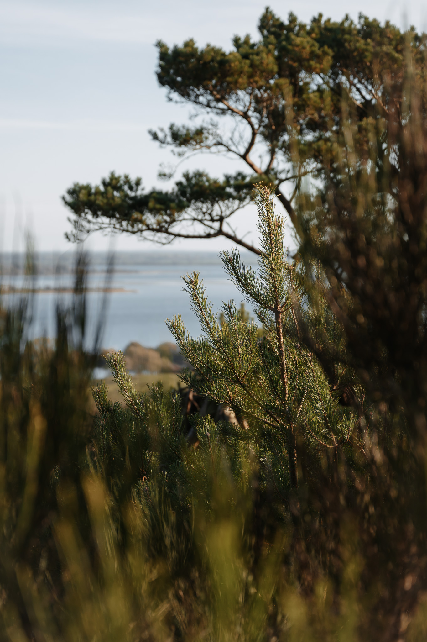 Literaturwettbewerb für Kinder