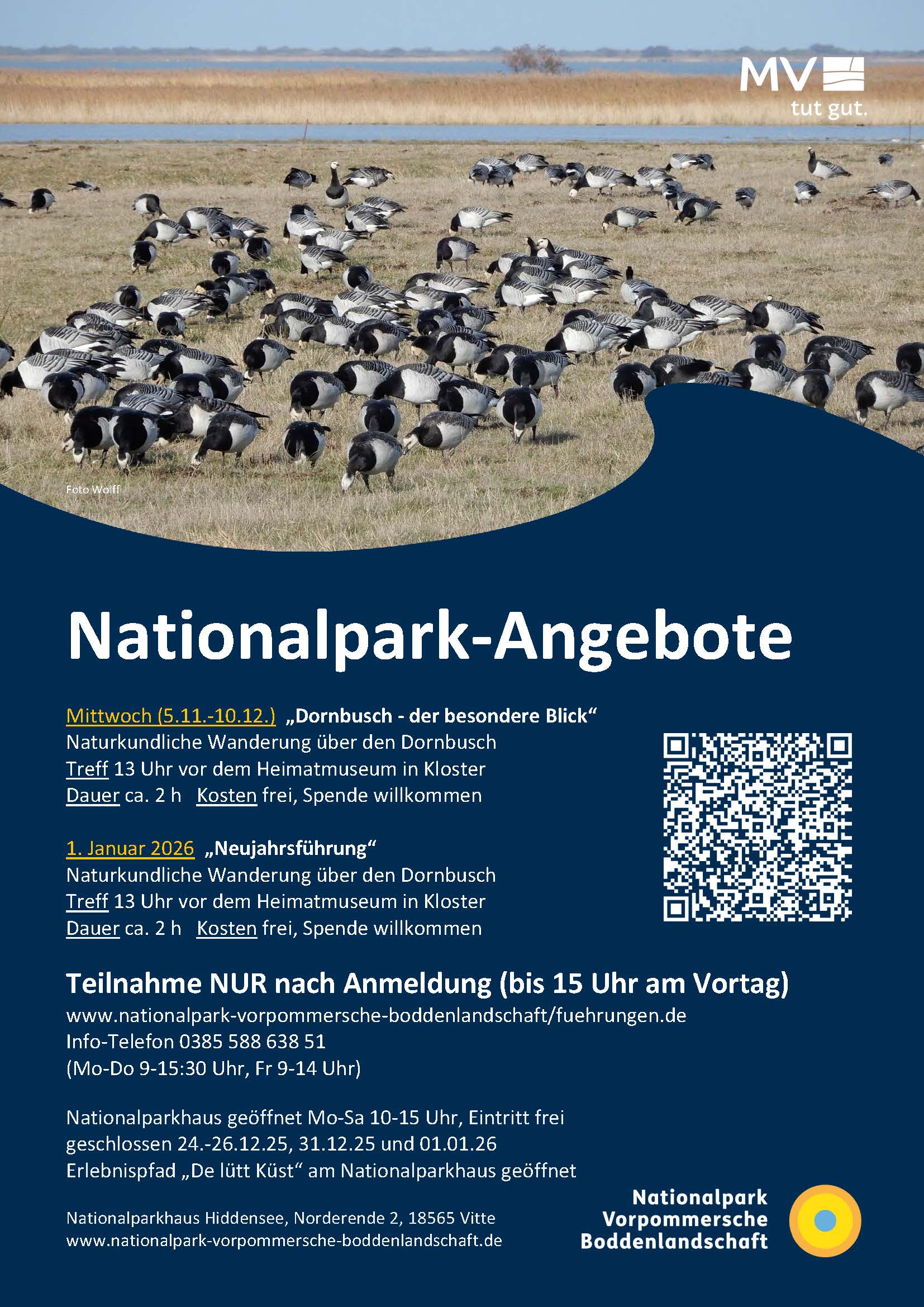 Dornbusch - der besondere Blick - Naturkundliche Wanderung