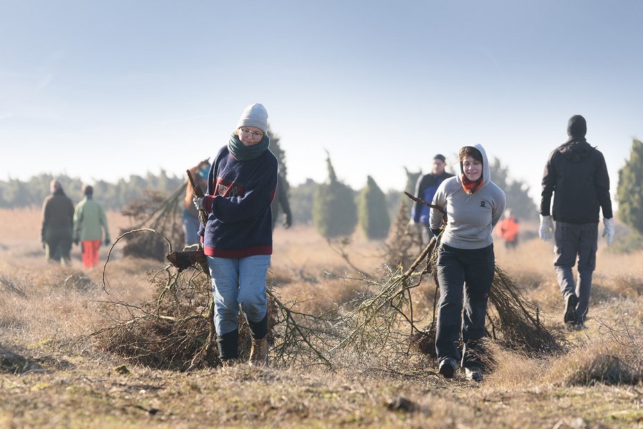 Gemeinsam anpacken – Landschaften auf Hiddensee erhalten Mitmachtage im Nationalpark