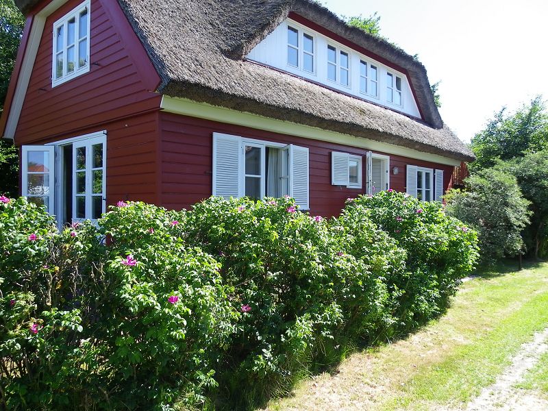 Das rote Haus