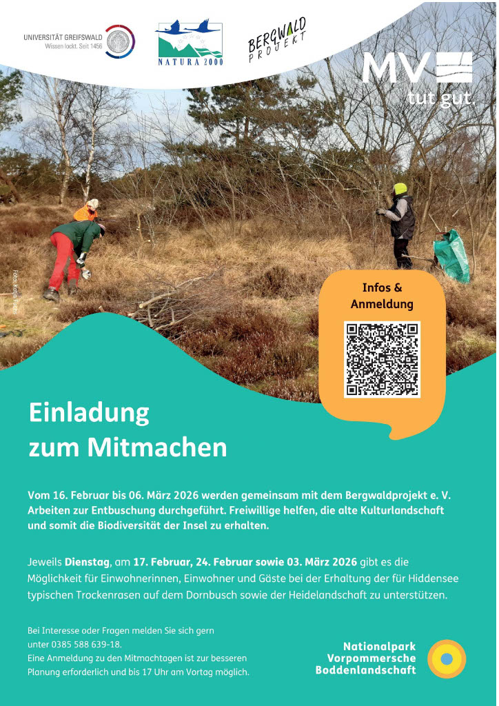 Gemeinsam anpacken – Landschaften auf Hiddensee erhalten Einladung zum Mitmachen