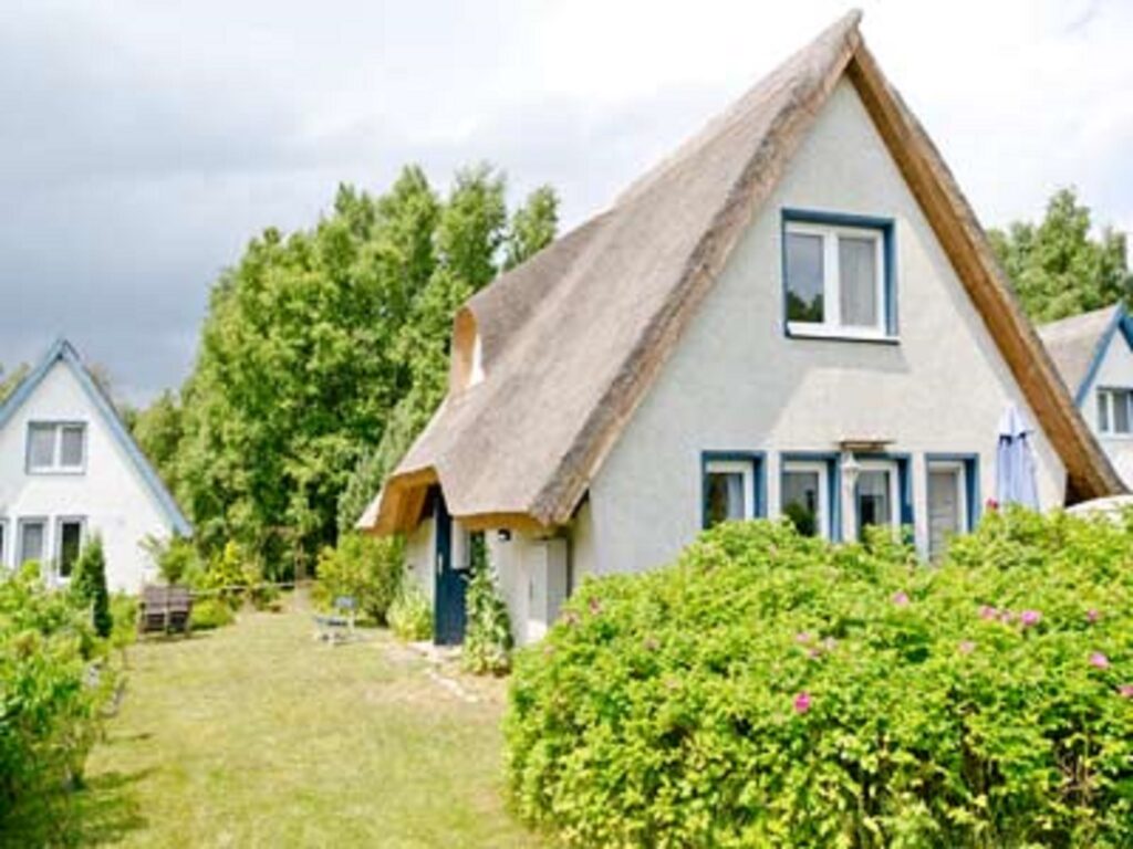 Skovhus