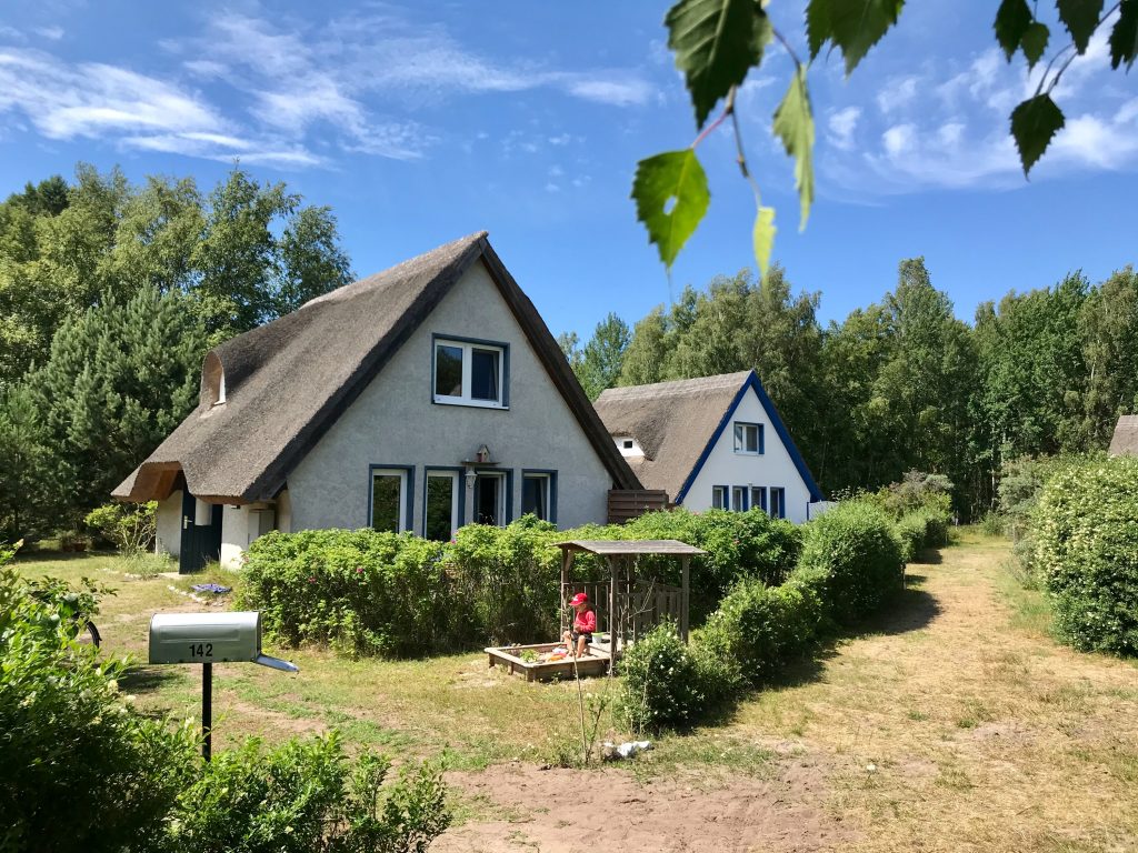 Skovhus