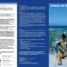 Hundeflyer